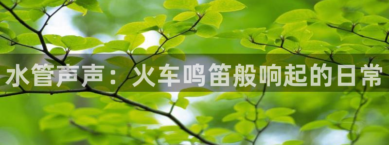 天辰娱乐鱼刺