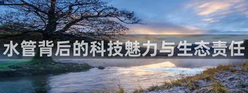 天辰娱乐论坛
