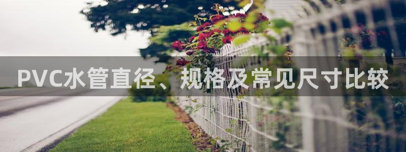 天辰平台娱乐