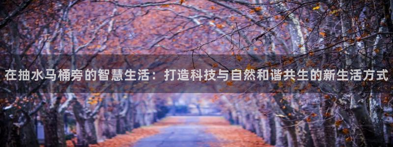天辰娱乐游客