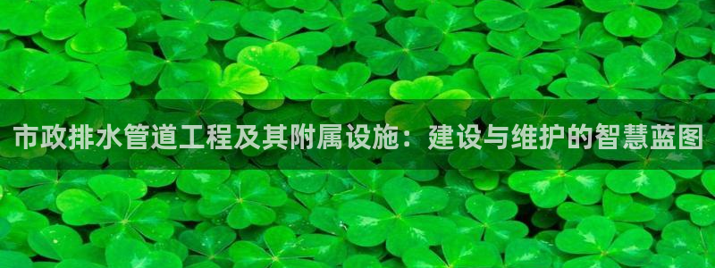 天辰娱乐小妹