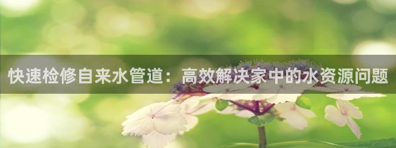 天辰娱乐84566