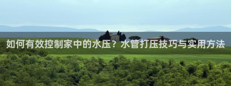 天辰娱乐股票