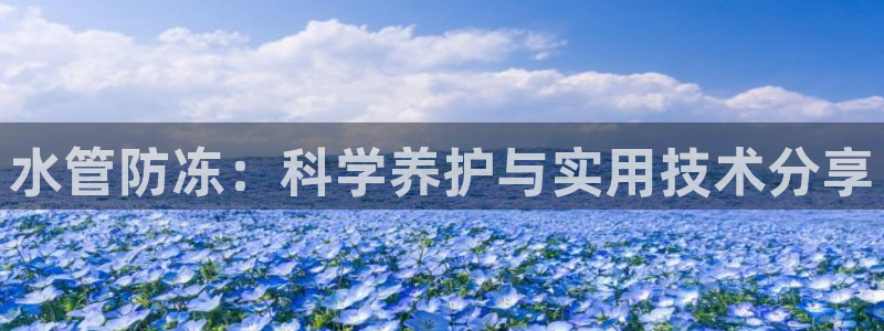 天辰臣娱乐