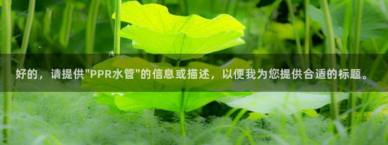 天辰娱乐957807
