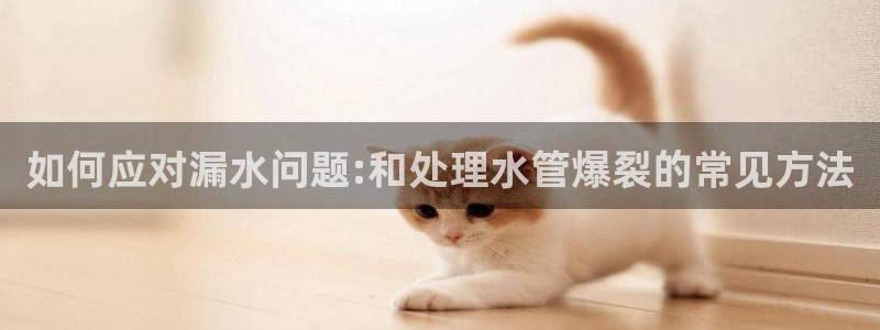 北京天辰娱乐