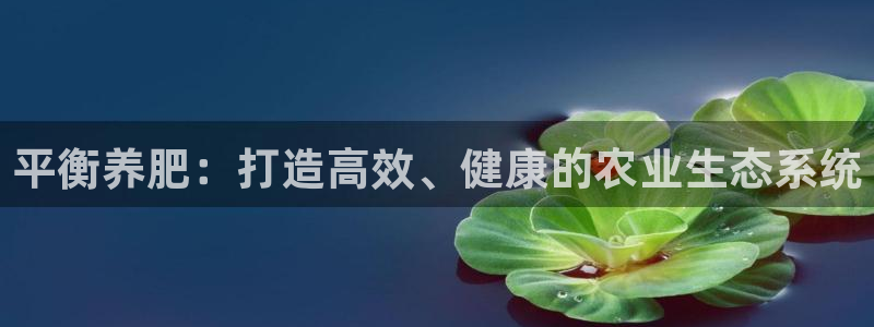 天辰娱乐上级