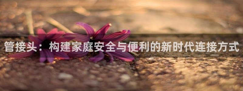 天辰娱乐61116