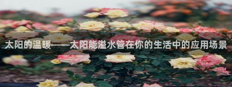 天辰娱乐卡