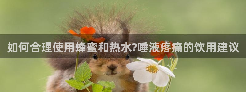 天辰娱乐论坛