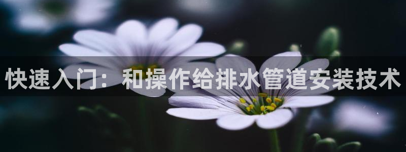 天辰娱乐44516