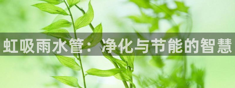 深圳天辰娱乐