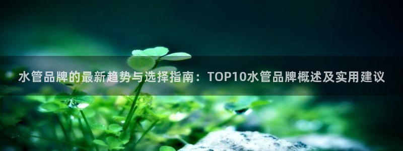 天辰娱乐老板