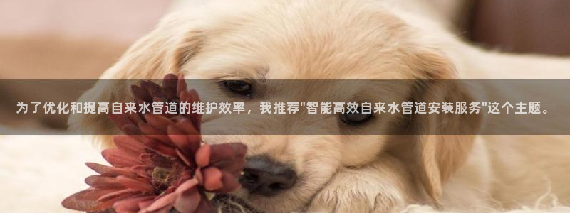 天辰娱乐地址