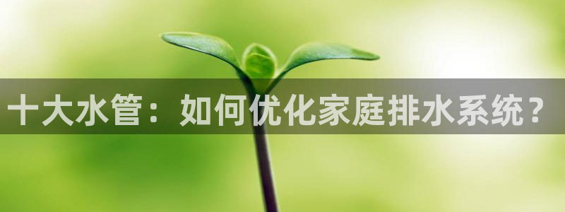 天辰娱乐股票