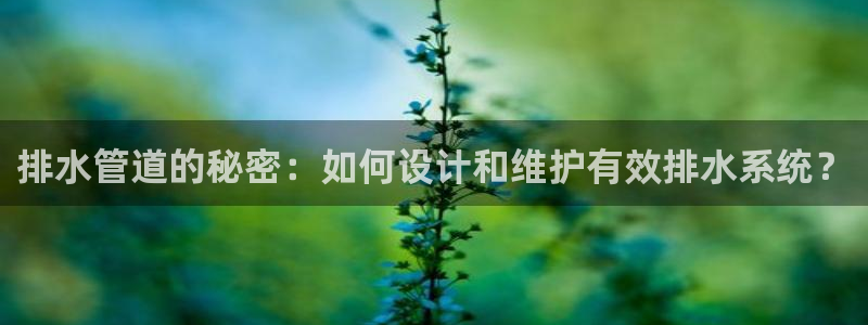 天辰娱乐黑人