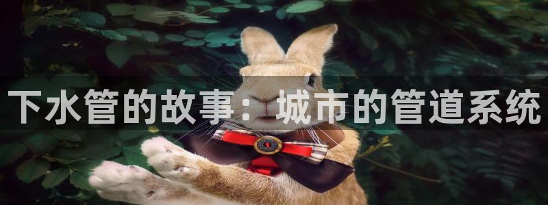 集宁天辰娱乐