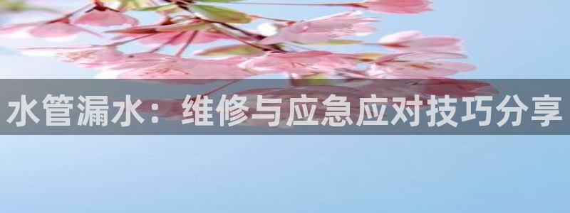 天辰娱乐1996