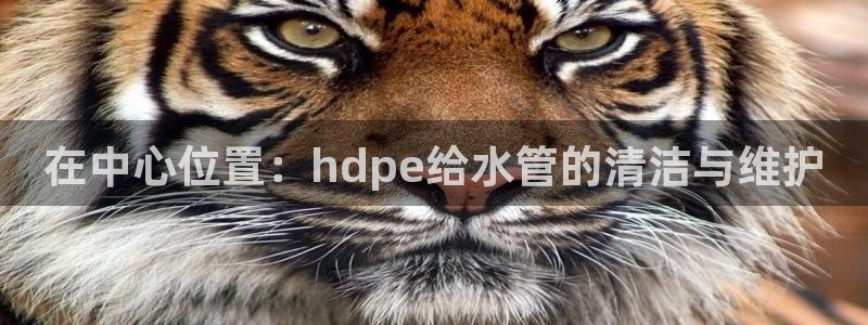 手机上怎么下载天辰娱乐