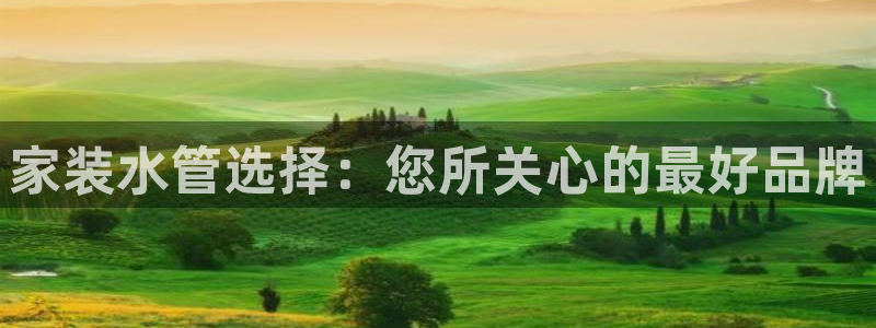 天辰娱乐海洋