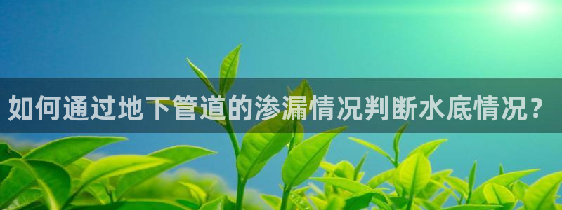 天辰娱乐网