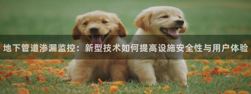 天辰娱乐在线