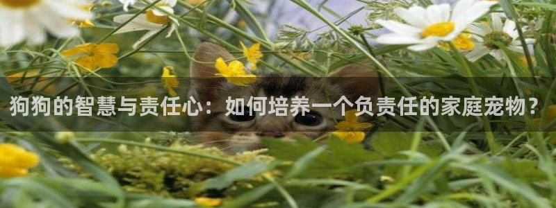 天辰娱乐平台测速