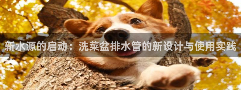 天辰娱乐481928