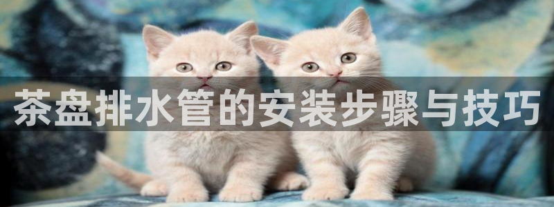 手机上怎么下载天辰娱乐