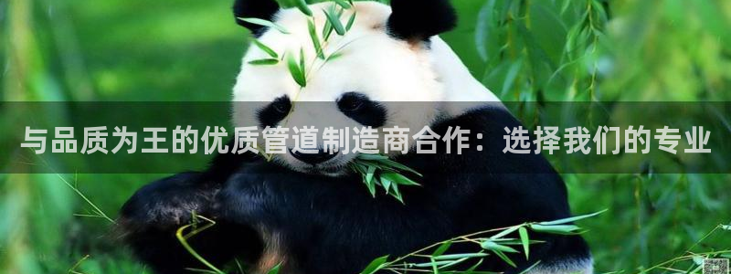 天辰娱乐国际