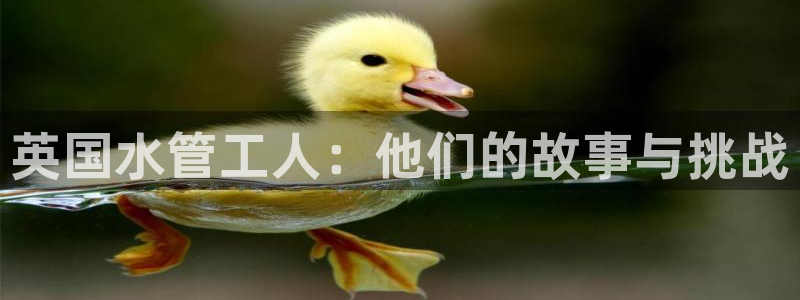 天辰娱乐赌博