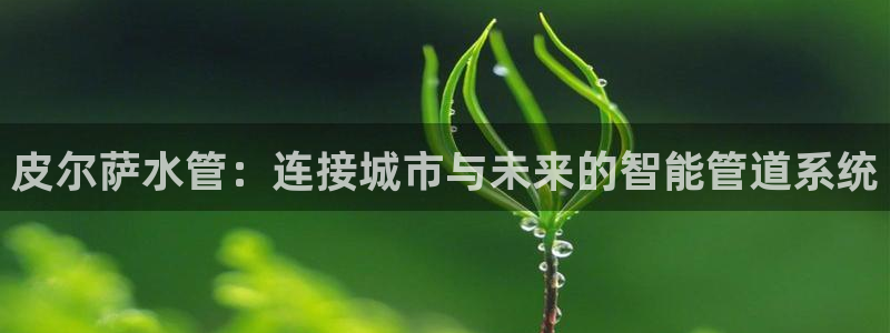 天辰娱乐登陆平台