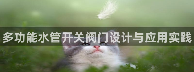 天辰娱乐tff