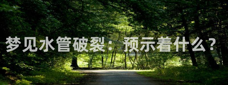 天辰娱乐39596