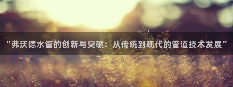 天辰娱乐官