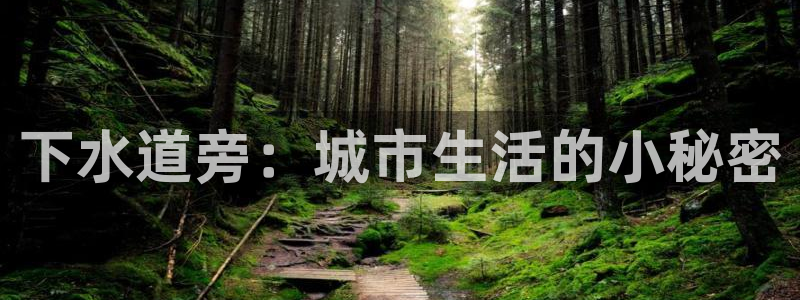 天辰娱乐登录网址