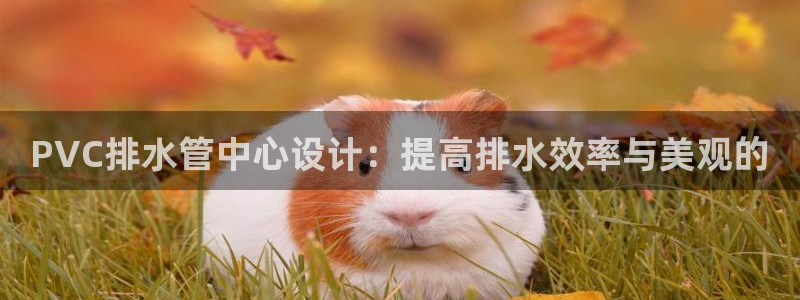 天辰娱乐代理
